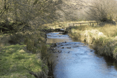 16. Looking upstream to Flood Debris Barrier