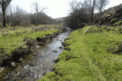 2. Downstream from Lower Willingford Bridge