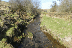 3. Downstream from Lower Willingford Bridge