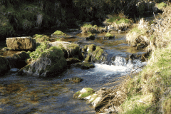 39. Flowing below Clogg's Down