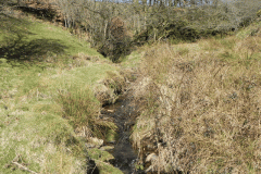 41. Waters flowing down Fox Combe