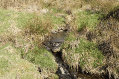 43. Waters flowing down Fox Combe