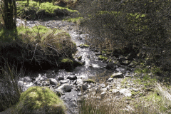 44. Waters flowing down Fox Combe