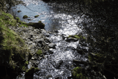 45. Waters join Danes Brook from Fox Combe