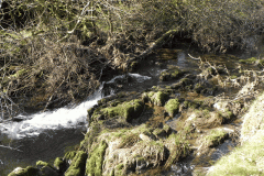 46. Flowing below Clogg's Down