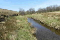 5. Downstream from Lower Willingford Bridge