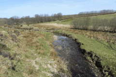 6. Downstream from Lower Willingford Bridge