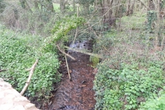 2. Looking upstream from Luccombe Mill Bridge