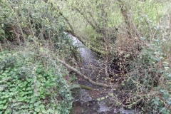 6. Looking downstream from Luccombe Mill Bridge