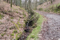 10. Flowing through Luccombe Plantation