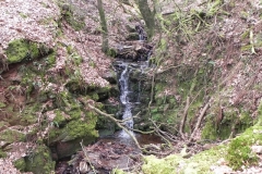 12. Flowing through Luccombe Plantation
