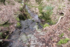 15. Flowing through Luccombe Plantation