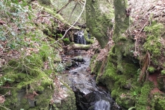 16. Flowing through Luccombe Plantation