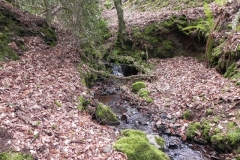 17. Flowing through Luccombe Plantation