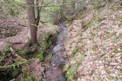 18. Flowing through Luccombe Plantation