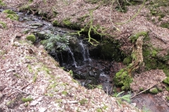 19. Flowing through Luccombe Plantation