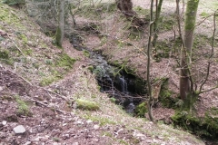 20. Flowing through Luccombe Plantation