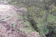 3. Flowing down Luccombe Hill