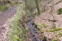 6. Flowing through Luccombe Plantation