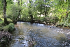 1a. Downstream from Lyncombe below Lyncombe Hill (2)