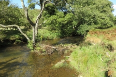 2. Downstream from Lyncombe below Road Hill (1)