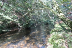 2. Downstream from Lyncombe below Road Hill (10)