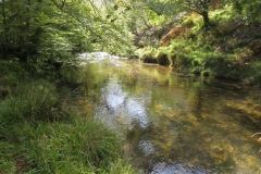 2. Downstream from Lyncombe below Road Hill (12)