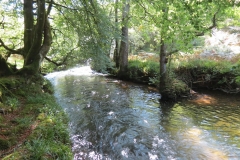 2. Downstream from Lyncombe below Road Hill (14)