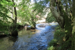 2. Downstream from Lyncombe below Road Hill (15)