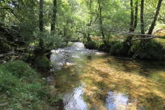2. Downstream from Lyncombe below Road Hill (18)