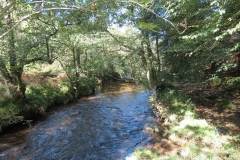 2. Downstream from Lyncombe below Road Hill (19)