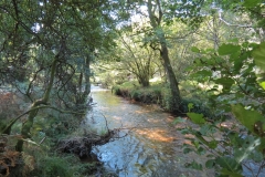 2. Downstream from Lyncombe below Road Hill (2)