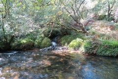 2. Downstream from Lyncombe below Road Hill (20)