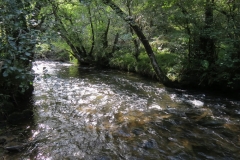 2. Downstream from Lyncombe below Road Hill (21)