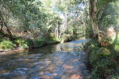 2. Downstream from Lyncombe below Road Hill (23)