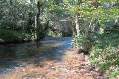 2. Downstream from Lyncombe below Road Hill (25)