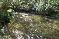 2. Downstream from Lyncombe below Road Hill (26)