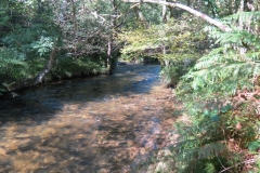 2. Downstream from Lyncombe below Road Hill (27)