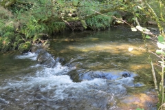 2. Downstream from Lyncombe below Road Hill (28)