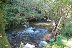 2. Downstream from Lyncombe below Road Hill (29)