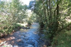 2. Downstream from Lyncombe below Road Hill (3)