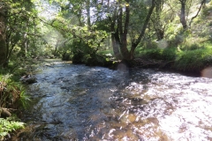 2. Downstream from Lyncombe below Road Hill (30)