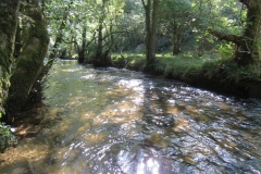 2. Downstream from Lyncombe below Road Hill (31)