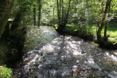 2. Downstream from Lyncombe below Road Hill (32)