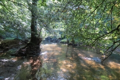2. Downstream from Lyncombe below Road Hill (33)