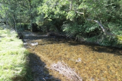 2. Downstream from Lyncombe below Road Hill (6)