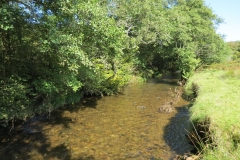 2. Downstream from Lyncombe below Road Hill (7)