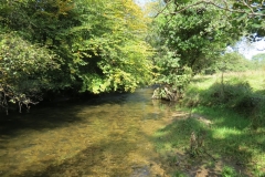 2. Downstream from Lyncombe below Road Hill (8)
