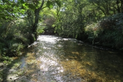 2. Downstream from Lyncombe below Road Hill (9)