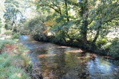 8. Upstream from East Nethercote (11)